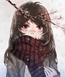 Rule 34 | 1girl, black hair, blush, branch, cherry blossoms, covered face, fingernails, highres, kaneblob, long hair, looking at viewer, original, scarf, solo, upper body