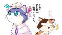Rule 34 | 00s, animal focus, cat, crossover, haa-san (sketchbook full colors), hat, jpeg artifacts, mike (sketchbook full colors), no humans, patchouli knowledge, sketchbook full colors, sotto, touhou, translation request