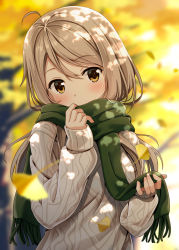 Rule 34 | 1girl, ahoge, aran sweater, autumn, autumn leaves, beige hair, blurry, blurry background, blush, brown eyes, cable knit, covering own mouth, dappled sunlight, depth of field, enpera, eyebrows, eyelashes, falling leaves, ginkgo tree, green scarf, grey sweater, hair between eyes, head tilt, holding, hyuuga azuri, leaf, long hair, long sleeves, looking at viewer, original, outdoors, scarf, sleeves past wrists, solo, sunlight, sweater, tareme, upper body