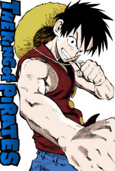 Rule 34 | 1boy, chin strap, clenched hand, clenched hands, colorized, english text, hat, male focus, monkey d. luffy, monochrome, murata yuusuke, one piece, simple background, solo, spiked hair, straw hat, third-party edit, unworn hat, unworn headwear, white background