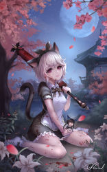 Rule 34 | 2girls, absurdres, animal ears, apron, architecture, bad id, bad pixiv id, black dress, black neckwear, blade &amp; soul, blood, blood on clothes, blood on face, blood splatter, cat ears, cat girl, cat tail, cherry blossoms, chibi, commission, dress, east asian architecture, flower, frilled skirt, frills, hairband, highres, kie (wylee2212), korean commentary, lace-trimmed apron, lace trim, lips, looking at viewer, lyn (blade &amp; soul), maid apron, maid headdress, moon, multiple girls, necktie, night, night sky, outdoors, parasol, pond, red eyes, short hair, short sleeves, sitting, skirt, sky, smile, solo focus, tail, tree, umbrella, wariza, white hair, wing collar, yandere