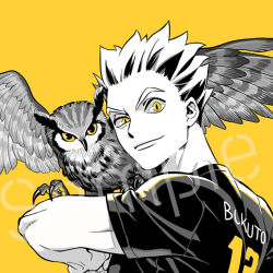Rule 34 | 1boy, 3 upin, animal on arm, arm up, bird, bokuto koutarou, feathered wings, greyscale, haikyuu!!, male focus, monochrome, owl, short hair, simple background, slit pupils, smirk, solo, sportswear, upper body, v-shaped eyebrows, volleyball uniform, wings, yellow background, yellow eyes