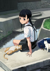 Rule 34 | 1girl, arm support, bag, black hair, black skirt, cat, charm (object), child, collared shirt, day, drainpipe, from behind, full body, grass, ice cream cone, ice cream cone charm, charm (object), long hair, looking at viewer, looking back, multiple cats, orange cat, original, outdoors, pleated skirt, school bag, school uniform, shirt, short sleeves, sitting, skirt, sody, solo, stairs, stone wall, stream, sunlight, suspender skirt, suspenders, testicles, wall, water, white cat, white shirt