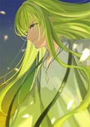 Rule 34 | 1boy, enkidu (fate), eyelashes, fate/grand order, fate (series), fon-due (fonfon), from side, gradient background, green eyes, green hair, grey robe, jewelry, light particles, long hair, male focus, necklace, parted lips, robe, sparkle, upper body, very long hair