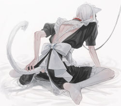 Rule 34 | 1boy, backless outfit, bad id, bad pixiv id, black dress, bow, cat boy, cat tail, collar, crossdressing, dress, frilled dress, frills, from behind, leaning forward, leash, male focus, original, pantyhose, short sleeves, simple background, sitting, solo, sowanai, sweat, tail, wariza, white background, white bow, white hair, white pantyhose