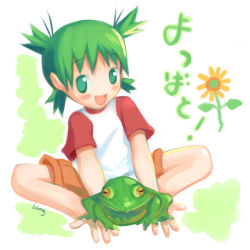 Rule 34 | 1girl, child, flower, frog, koiwai yotsuba, sunflower, tagme, yotsubato!