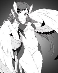 Rule 34 | 1girl, bird legs, bird tail, breasts, character request, commentary request, copyright request, feathered wings, feathers, greyscale, hair ornament, hairclip, harpy, lee xianshang, long hair, medium breasts, midriff, monochrome, monster girl, monsterification, navel, tail, winged arms, wings