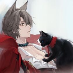 Rule 34 | 1boy, absurdres, animal ears, arknights, black cat, black choker, cape, cat, cat ears, choker, christine (arknights), grey eyes, grey hair, highres, infection monitor (arknights), jumao, male focus, material growth, official alternate costume, oripathy lesion (arknights), phantom (arknights), phantom (focus) (arknights), red cape, shirt, short hair, upper body, white shirt