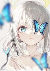 Rule 34 | 1girl, animal, black ribbon, blue eyes, blurry, blurry background, blurry foreground, bug, butterfly, butterfly over eye, collarbone, commentary request, depth of field, grey background, grey hair, hair between eyes, hair ribbon, halo, insect, long hair, looking at viewer, nude, one eye covered, original, parted lips, ribbon, satsuki misuzu, solo, upper body