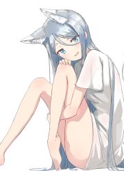 Rule 34 | 1girl, :d, animal ears, aqua eyes, blue hair, extra ears, fang, fox ears, fox tail, hand on own knee, highres, light blue hair, long hair, looking at viewer, naked shirt, nosuku, open mouth, original, shirt, silver hair, simple background, sitting, smile, solo, tail, white background