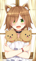 Rule 34 | 1girl, :d, ahoge, animal, animal ear fluff, animal ears, animal in clothes, blush, brown hair, cerberus, collarbone, commentary request, crossed arms, curtains, day, dog, dress, eyes visible through hair, fang, green eyes, hair between eyes, hair over one eye, highres, indoors, kemonomimi mode, komori kuzuyu, looking at viewer, open mouth, original, smile, solo, sunlight, tongue, tongue out, transparent, upper body, white dress, window