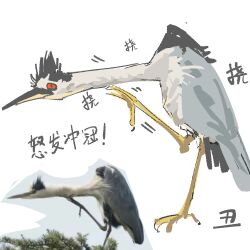 Rule 34 | animal focus, bird, chinese commentary, chinese text, commentary request, crane (animal), derivative work, motion lines, no humans, original, red eyes, reference inset, scratching neck, simple background, translation request, white background, zhanghemankong