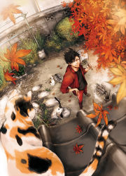 Rule 34 | &gt;:), 10s, 1boy, animal, autumn, autumn leaves, black hair, blurry, bucket, bush, calico, cat, chopsticks, cooking, depth of field, falling leaves, fish, fisheye, flip-flops, food, from above, garden, grass, grill, grilling, gym uniform, haikyuu!!, hair between eyes, hand fan, hand on own hip, holding, holding fan, jacket, kuroo tetsurou, leaf, legs apart, looking at viewer, looking up, male focus, midoripurin, outdoors, pants, paper fan, plant, potted plant, red jacket, red pants, rooftop, sandals, shichirin, shirt, sleeves pushed up, smile, smoke, standing, t-shirt, uchiwa, v-shaped eyebrows, wall