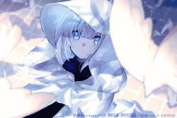 Rule 34 | 1girl, absurdres, bird, blue eyes, blurry, blurry foreground, chinese text, coat, commentary, english text, eyelashes, grey hair, hair between eyes, highres, hood, hood up, looking at viewer, original, parted lips, shadow, solo, sugomori tsuru (artist), upper body, white coat, white hair