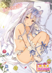 Rule 34 | 1girl, :o, ahoge, animal ears, ass, bed, blue flower, blue ribbon, bra, cat ears, cat girl, cat tail, flower, frilled panties, frills, gloves, hair ribbon, harunoibuki, highres, kneehighs, knees up, long hair, looking at viewer, lying, melonbooks, navel, no shoes, on bed, on side, original, panties, parted lips, pillow, plant, potted plant, purple flower, red eyes, ribbon, silver hair, socks, solo, stomach, tail, tears, underwear, underwear only, white bra, white gloves, white panties, white socks, yellow flower