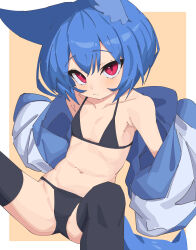 Rule 34 | 1girl, :/, absurdres, animal ears, bare shoulders, bikini, black bikini, black thighhighs, blue hair, border, closed mouth, commentary, expressionless, flat chest, fox ears, highres, hood, hoodie, looking at viewer, miya (myakuro), myakuro, navel, open clothes, open hoodie, orange background, original, outside border, red eyes, short hair, simple background, solo, spread legs, swimsuit, thighhighs, two-sided fabric, white border