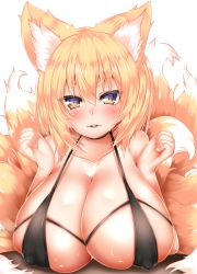 Rule 34 | 1girl, alternate costume, animal ear fluff, animal ears, bare shoulders, blush, breasts, cleavage, collarbone, commentary request, covered erect nipples, fox ears, fox tail, hair between eyes, huge breasts, kitsune, kyuubi, looking at viewer, multiple tails, no headwear, orange hair, parted lips, shiny skin, short hair, simple background, smile, solo, sweat, tail, touhou, upper body, white background, wildcat (kusonemi), yakumo ran, yellow eyes