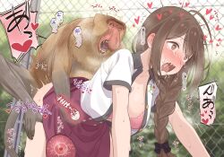 Rule 34 | 1girl, ahoge, air doggystyle, bestiality, black bow, blush, bow, bra, braid, braided ponytail, brown eyes, brown hair, cum, cum in pussy, deep penetration, ejaculation, hair bow, heart, heart-shaped pupils, highres, idolmaster, idolmaster shiny colors, impregnation, internal cumshot, kuwayama chiyuki, long hair, monkey, neku oneneko, open clothes, open mouth, open shirt, outdoors, paid reward available, pink bra, red skirt, sex, shirt, skirt, solo, sperm cell, symbol-shaped pupils, tears, underwear, uterus, vaginal, white shirt, x-ray
