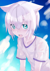 Rule 34 | 1girl, animal ear fluff, animal ears, collarbone, commentary, eyebrow piercing, green eyes, hair between eyes, highres, lolicom, looking at viewer, open mouth, original, piercing, see-through, shirt, short sleeves, solo, sweat, symbol-only commentary, upper body, wavy mouth, wet, wet clothes, wet hair, wet shirt, white hair, white shirt