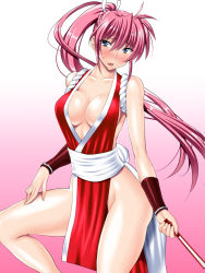 Rule 34 | 1girl, bare shoulders, blue eyes, breasts, cleavage, cosplay, fatal fury, gradient background, highres, large breasts, long hair, lyrical nanoha, mahou shoujo lyrical nanoha, mahou shoujo lyrical nanoha a&#039;s, pelvic curtain, pink background, pink hair, ponytail, sen (sansui), shiranui mai, shiranui mai (cosplay), signum, solo, sweatdrop, the king of fighters, very long hair