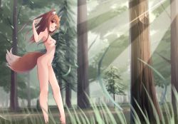 Rule 34 | 1girl, absurdres, akinakesu-chan, animal ears, breasts, brown hair, highres, holo, looking at viewer, nipples, nude, outdoors, pussy, red eyes, small breasts, solo, spice and wolf, tail, wolf ears, wolf girl, wolf tail