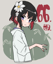 Rule 34 | 1girl, black hair, chiwa (fcwv5738), closed mouth, commentary request, cropped torso, flower, grey background, hair between eyes, hair flower, hair ornament, highres, hood, hood down, hoodie, long sleeves, looking at viewer, looking to the side, multicolored hair, original, puffy long sleeves, puffy sleeves, purple eyes, red hair, smile, solo, two-tone hair, upper body, white flower, white hoodie