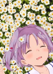 Rule 34 | 1girl, closed eyes, commentary, daisy, drooling, flower, flower bed, from above, hair intakes, hair ornament, hairpin, idolmaster, idolmaster cinderella girls, kirarin369, koshimizu sachiko, lying, on back, on ground, outdoors, petals, portrait, purple hair, short hair, sleeping, solo