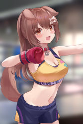 Rule 34 | 1girl, :d, animal ears, bare arms, blurry, blurry background, blush, bone hair ornament, boxing gloves, breasts, brown eyes, brown hair, collar, cowboy shot, depth of field, dog ears, dog girl, dog tail, hair ornament, hololive, inugami korone, long hair, looking at viewer, medium breasts, midriff, mujinbensin, navel, open mouth, red collar, short shorts, shorts, smile, solo, sports bra, standing, tail, virtual youtuber, yellow sports bra