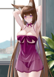 Rule 34 | 1girl, absurdres, amagi (azur lane), animal ear fluff, animal ears, armpits, arms behind head, arms up, azur lane, breasts, brown hair, cleavage, collarbone, cowboy shot, fox ears, fox girl, frozen-sad, highres, lace, lace-trimmed panties, lace trim, large breasts, long hair, neck ribbon, nightgown, panties, plant, potted plant, purple eyes, ribbon, see-through, side-tie panties, solo, standing, thick eyebrows, underwear