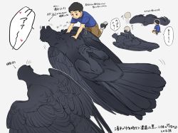 Rule 34 | 1boy, 2others, ball, bird, bird wings, black eyes, black feathers, black footwear, black hair, blue shirt, brown shorts, child, crow, faceless, facing another, facing up, feathers, grey background, highres, human head, li sakura, lying, multiple others, multiple views, on back, on stomach, open mouth, original, petting, playing, shirt, short hair, short sleeves, shorts, sitting, speech bubble, spread wings, talons, wariza, whiskers, wings