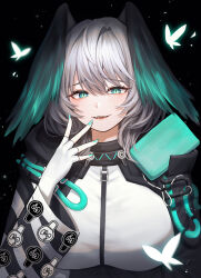 Rule 34 | 1girl, :d, aqua eyes, aqua nails, arknights, black background, breasts, commentary request, fangs, fingerless gloves, gloves, grey hair, hand up, head wings, highres, ho&#039;olheyak (arknights), hyeroin, large breasts, long sleeves, looking at viewer, medium hair, nail polish, open mouth, revision, smile, solo, upper body, white gloves, wings