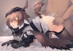 Rule 34 | 1boy, 1girl, ahoge, arknights, bed sheet, beret, bird girl, black gloves, black headwear, black neckwear, black thighhighs, blush, brown hair, commentary, garter straps, gloves, grey shirt, hair between eyes, hat, hetero, looking at viewer, multicolored hair, open mouth, plume (arknights), sasa onigiri, sex, sex from behind, sheet grab, shirt, short hair, solo focus, sweat, symbol-only commentary, tail, tail grab, thigh grab, thighhighs, two-tone hair, white hair, yellow eyes