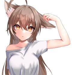 Rule 34 | 1girl, absurdres, alternate costume, animal ears, brown eyes, brown hair, crossed bangs, double-parted bangs, hair between eyes, hand on own ear, highres, hololive, hololive english, multicolored hair, nanashi mumei, open mouth, panpanmc4, shirt, single off shoulder, streaked hair, t-shirt, upper body, virtual youtuber, white shirt, wolf ears