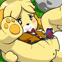 Rule 34 | 1girl, aliasing, animal crossing, animal ears, animal hands, anus, barefoot, bloggerman, blonde hair, blush, blush stickers, bug, butterfly, cleft of venus, dog, dog ears, dog tail, feet, female focus, furry, furry female, grass, insect, isabelle (animal crossing), leg hold, legs up, lowres, lying, nintendo, no panties, on back, on ground, pawpads, pussy, rock, shirt, short hair, skirt, smile, solo, spread legs, tail, uncensored, upskirt