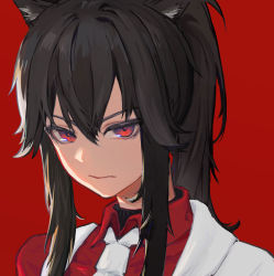 Rule 34 | 1girl, alternate costume, animal ear fluff, animal ears, arknights, black hair, closed mouth, collared shirt, long hair, looking at viewer, lp947131491, necktie, ponytail, profile, red background, red eyes, red shirt, shirt, sidelocks, simple background, solo, texas (arknights), white necktie, wolf ears