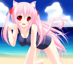 Rule 34 | 1girl, all fours, animal ears, arm support, bad id, bad pixiv id, beach, blush, breasts, cat ears, cat tail, day, highres, long hair, one-piece swimsuit, original, paw pose, pink hair, red eyes, school swimsuit, shocchan (sanymph), solo, swimsuit, tail, twintails