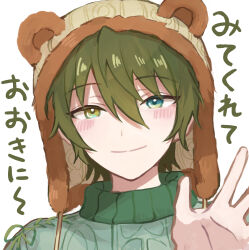 Rule 34 | 1boy, animal ears, animal hat, aqua eyes, bear ears, blush, closed mouth, commentary request, ensemble stars!, fake animal ears, green hair, green sweater, hair between eyes, hand up, hat, heterochromia, highres, kagehira mika, looking at viewer, male focus, official alternate costume, short hair, smile, solo, sweater, teddy bear (ensemble stars!), upper body, wednesday 108, yellow eyes