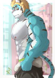 Rule 34 | 1boy, abs, animal ears, ass, ass lift, bara, blonde hair, blue fur, blush, building, bulge, bulge lift, dressing, feet out of frame, from side, furry, furry male, green eyes, highres, i&#039;ve never seen a guy recreate this successfully tbh (meme), large pectorals, live a hero, long sideburns, looking at viewer, male focus, male underwear, meme, muscular, muscular male, nipples, open pants, orea-doi, pants, pants lift, pectorals, rexer (live a hero), short hair, shy, sideburns, solo, stomach, tiger boy, tiger ears, topless male, undersized clothes, underwear, white male underwear