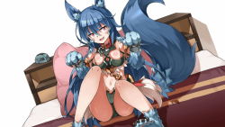 Rule 34 | 1girl, animal ears, animal feet, animal hands, artist request, bed, blue hair, breasts, collar, fang, froze (monster musume), game cg, long hair, medium breasts, midriff, monster musume no iru nichijou, monster musume no iru nichijou online, navel, official art, on bed, pillow, red eyes, sitting, solo, tail, wolf ears, wolf girl, wolf tail
