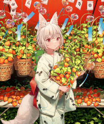 Rule 34 | 1girl, animal, animal ears, animal on shoulder, bow, chinese lantern (plant), commentary, copyright request, cowboy shot, fox ears, fox girl, fox tail, frog, highres, holding, holding plant, japanese clothes, kimono, looking at viewer, plant, potted plant, red bow, red eyes, solo, standing, tail, white hair, white kimono, wind chime, yutsumoe