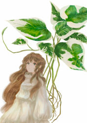 Rule 34 | 1girl, brown hair, dress, green eyes, high collar, highres, isa yuuri, leaf, long hair, looking up, original, parted lips, plant, plant request, solo, very long hair