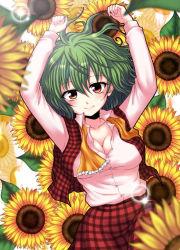 Rule 34 | 1girl, arms up, ascot, breasts, cleavage, female focus, flower, green hair, kazami yuuka, lying, medium breasts, mokku, on back, open clothes, open shirt, plaid, plaid skirt, plaid vest, red eyes, shirt, short hair, skirt, skirt set, solo, sunflower, touhou, untied, vest