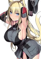 Rule 34 | 1girl, absurdres, animal ears, bare shoulders, bismarck (kancolle), blonde hair, blue eyes, blush, breasts, brown gloves, cat ears, cat tail, closed mouth, cowboy shot, detached sleeves, gloves, grey hat, hair between eyes, hat, highres, holding, holding clothes, holding hat, kantai collection, kuromayu, large breasts, long hair, military, military hat, military uniform, peaked cap, simple background, solo, tail, uniform, unworn hat, unworn headwear, white background