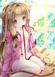 Rule 34 | 1girl, animal ear fluff, animal ears, bad id, bad pixiv id, bow, breasts, brown hair, cat ears, cat girl, cat tail, commentary request, drawstring, groin, hair bow, long hair, looking at viewer, mouth hold, naked shirt, nanase nao, navel, open clothes, open shirt, original, pink shirt, red bow, red eyes, red ribbon, ribbon, ribbon in mouth, shirt, sitting, small breasts, solo, tail, very long hair, wariza
