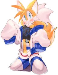 Rule 34 | 1boy, blue eyes, blush, closed mouth, fox boy, full body, furry, furry male, highres, jacket, looking at viewer, male focus, oversized clothes, shoes, simple background, sleeves past fingers, sleeves past wrists, solo, sonic (series), tail, tails (sonic), usa37107692, white background, white jacket