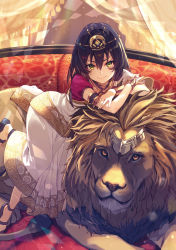 Rule 34 | &gt;:), 1girl, animal ears, armlet, black hair, bracer, closed mouth, commentary request, green eyes, hair between eyes, hair ornament, hair strand, hair tubes, highres, indoors, isekai shuurai, jewelry, lion, lion ears, lion tail, long hair, looking at viewer, necklace, novel illustration, official art, orange eyes, scullchance (isekai shuurai), shirabi, short sleeves, smile, tail, textless version, v-shaped eyebrows
