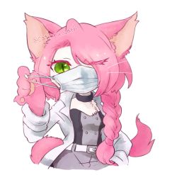 Rule 34 | 1girl, cat busters, furry, furry female, green eyes, highres, long hair, mask, mouth mask, neko hakase (cat busters), pink hair, solo, surgical mask, twintails