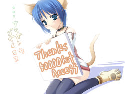 Rule 34 | 1girl, animal ears, cat ears, cat tail, holding, holding sign, kiryuu masumi, original, sign, solo, tail, thighhighs