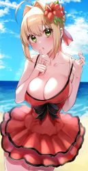 Rule 34 | 1girl, absurdres, ahoge, beach, blue sky, breasts, cloud, dress, fate/extra, fate (series), flower, frilled dress, frills, green eyes, hair flower, hair intakes, hair ornament, highres, large breasts, looking at viewer, modern costume of crimson, nero claudius (fate), nero claudius (fate) (all), nero claudius (fate/extra), official alternate costume, red dress, sand, sky, summer, yayoi maka