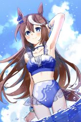 Rule 34 | 1girl, absurdres, animal ears, arm at side, arm up, bikini, blue bikini, blue eyes, blush, breasts, brown hair, choker, closed mouth, cloud, collarbone, commentary request, day, habsida (habsida hpy), hair down, hand in own hair, highres, horse ears, horse girl, horse tail, korean commentary, long hair, multicolored hair, outdoors, small breasts, smile, solo, streaked hair, swimsuit, tail, tokai teio (umamusume), umamusume, wading, water, water drop, wristband